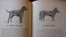 CHIENS DE BERGER - CHIENS DE GARDE -CHIENS D'AGREMENT. - ROBIN V. - 1933  / 275 PAGES FOX LEVRIER BARZOI CARLIN - Animales