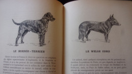CHIENS DE BERGER - CHIENS DE GARDE -CHIENS D'AGREMENT. - ROBIN V. - 1933  / 275 PAGES FOX LEVRIER BARZOI CARLIN - Animali
