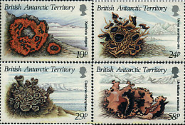 36333 MNH ANTARTIDA BRITANICA 1989 ALGAS - Nuevos