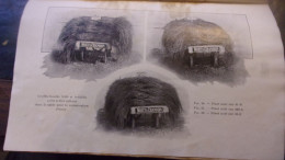 Le Greffage à L'Etablissement De Viticulture - Maison Moët Et Chandon 1935 - Raoul Chandon De Briallles CHAMPAGNE REIMS - Giardinaggio