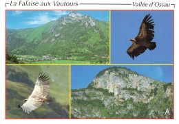 FRANCE - Vallée D'Ossau - Vue Sur La Falaise Aux Vautours - Colorisé - Carte Postale - Altri & Non Classificati