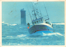 TRANSPORTS - Retour De Pêche Par Mer Grosse - Colorisé - Carte Postale - Fischerei