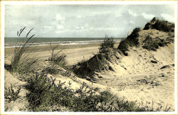 Belgique - Flandre Occidentale - Oostduinkerke-bains - La Dune, Ourlet De La Mer - Oostduinkerke