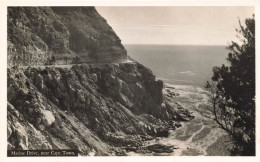 ROYAUME-UNI - Angleterre - Marine Drive - Near Cape Town - Carte Postale - Scarborough