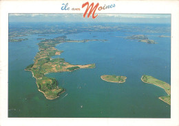 FRANCE - Vue Générale De L'Île Aux Moines - Colorisé - Carte Postale - Ile Aux Moines