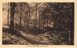 D1052 FORET DE  DESVRES - Desvres