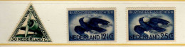 Pays-Bas (1933-38) - Vol Special - Carbeau - Neufs** - MNH - Posta Aerea