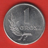 POLAND - 1 GROSZ 1949 - Poland