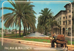 ESPAGNE - Mallorca - Vue Sur Les Palmes De Mallorca - Colorisé - Carte Postale - Mallorca