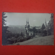 SINAIA CASTELUL PELES - Rumania