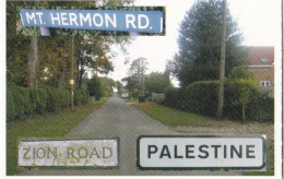 31 Zion Lane, Palestine, Hampshire - The Names The Same - Magpie Publications 2005, L Sizw - Gallaher
