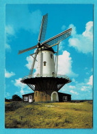 * Veere (Zeeland - Nederland) * (Uitgave Den Hollander) Molen De Koe, Stellingmolen, Korenmolen, Moulin, Mill Bouwj 1909 - Veere