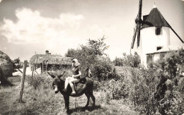 St Jean De Monts * Le Marais , Une Bourine Et Moulin à Vent * Molen * Coiffe âne - Saint Jean De Monts