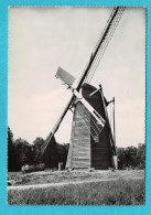 * Genk - Genck (Limburg) * (Bromophoto) Domein Bokrijk, Molen, Moulin, Mill, Muhle, Openluchtmuseum, Old, Rare - Genk