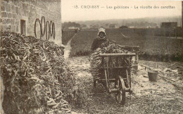 CROISSY Les Gabillons, La Récolte Des Carottes - Croissy-sur-Seine