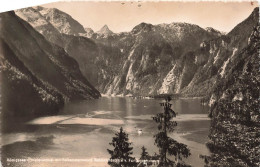 ALLEMAGNE - Königssee Molerwinkel Avec Falkensteinw Idspitze V. Funtenseetauers - Carte Postale Ancienne - Sonstige & Ohne Zuordnung