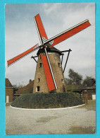 * Hamme (Oost Vlaanderen) * Windmolen De Grote Napoleon, Moulin Le Grand Napoleon, Eig Paul De Vos Vlaminck, Molen - Hamme