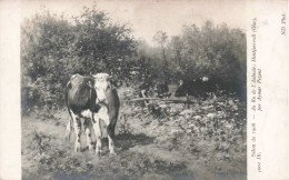 CELEBRITES - Artistes - Salon De 1908 - Au Ru De L'Aulnaire ; Montjavroult Par Aymar Pezant - Carte Postale Ancienne - Künstler