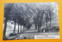 DIEST  -  Wandeldreef Aan De Schaffensche Poort  - Promenade  Vers La Porte De Schaffen - Diest