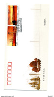 A51996)China FDC 4416 - 4417 - 2010-2019