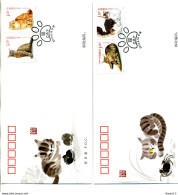 A52050)China FDC 4504 - 4507, Katzen - 2010-2019