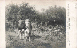 ARTS - Salon De 1908 - Au Ru De L'Aulnaie; Montjavroult Par Aymar Pezant - Carte Postale Ancienne - Otros & Sin Clasificación