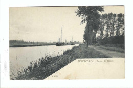 Willebroek    Willebroeck   Route De Boom  1905 - Willebrök