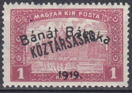 Hongrie Banat Bacska 1919 N° 31 Palais  (J23) - Banat-Bacska