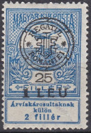 Transylvanie Cluj Kolozsvar 1919 N° 8   (J23) - Transilvania