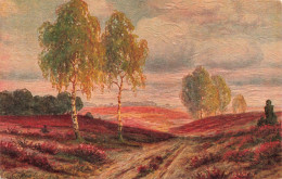 PEINTURE - Walter Hoy - Bruyère Fleurissante - Carte Postale Ancienne - Malerei & Gemälde