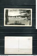 K18958)Ansichtskarte: Dahme, Seepanorama - Dahme