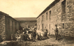 Mont Pilat , Véranne * La Jasserie , Hôtel Du Mont Pilat , Le Troupeau De La Ferme Et Son Berger * Chèvres Chevrier - Mont Pilat