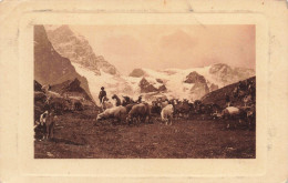 ARTS - Tableaux - Troupeaux - Moutons - Montagne - Carte Postale Ancienne - Peintures & Tableaux