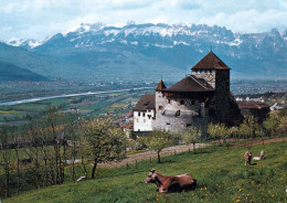 3 AK Liechtenstein * Schloß Vaduz Im Fürstentum Liechtenstein * - Liechtenstein