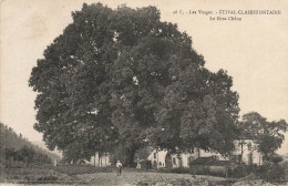 étival Clairefontaine * Le Gros Chêne , Un Coin Du Village * Arbre Tree * Enfants Villageois - Etival Clairefontaine