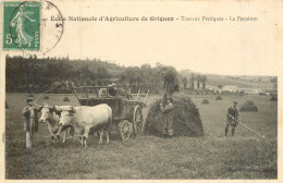 GRIGNON École Nationale D'Agriculture, Travaux Pratiques La Fenaison - Grignon