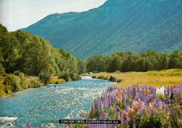 1 AK Neuseeland / New Zealand * Cascade Creek Im Eglinton Valley In Der Region Southland Auf Der Südinsel * - Nouvelle-Zélande