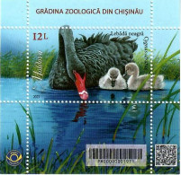 Moldova 2023 . Chisinau Zoo Garden ,Swan. S/S - Moldavië