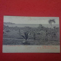 CONGO FRANCAIS LA PLANTATION DU LAC CAIJO - Congo Français