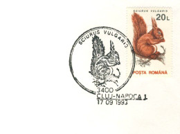522  Écureuil: Timbre + Oblitération Temp. Roumanie, 1993 -  Squirrel Stamp + Pictorial Cancel From Romania - Rodents