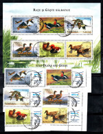 Roumanie 2007 Mi. 6213, Bl. 402 Oblitéré 100% Oiseaux - Used Stamps