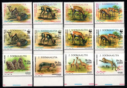 Somalie 1992 Mi. 432-43 Neuf ** 100% Faune,100 Sh,200 Sh... - Somalie (1960-...)