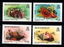 Montserrat 1984 Mi. 557-560 Neuf ** 100% Animaux Marins - Montserrat