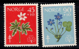 Norvège 1960 Mi. 438-439 Neuf ** 100% Fleurs, Flore - Unused Stamps