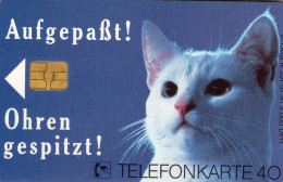 Aufgepaßt Catsan TK K 351/1991 ** 90€ Katze Ohren Gespitzt Katzen Wollen Beste Tiernahrung TC Fauna Phonecard Of Germany - Cats