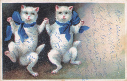 Chats Humanisés * CPA Illustrateur * La Danse * Danseurs Dancers Dancing * Noeuds Bleus * Chat Cat Cats Katze - Chats