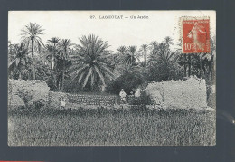 CPA - Algérie - Laghouat - Un Jardin - Laghouat
