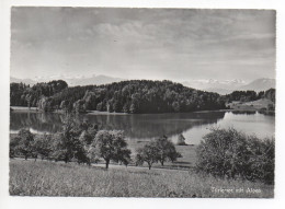 AEUGST AM ALBIS Türlersee Mit Alpen - Affoltern Am Albis