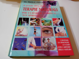 IL GRANDE LIBRO DELLE TERAPIE NATURALI PER CURARE IL CORPO LA MENTE E LO SPIRITO- DEMETRA - Geneeskunde, Psychologie