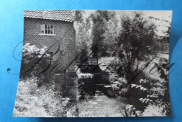 Meerbeke. Watermolen Moulin A Eau - Ninove